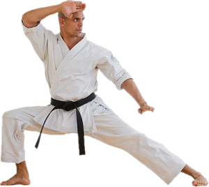 Karate PNG-55491